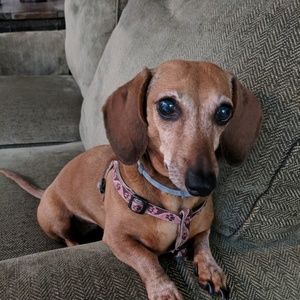 Meet your Posher, Madelyn